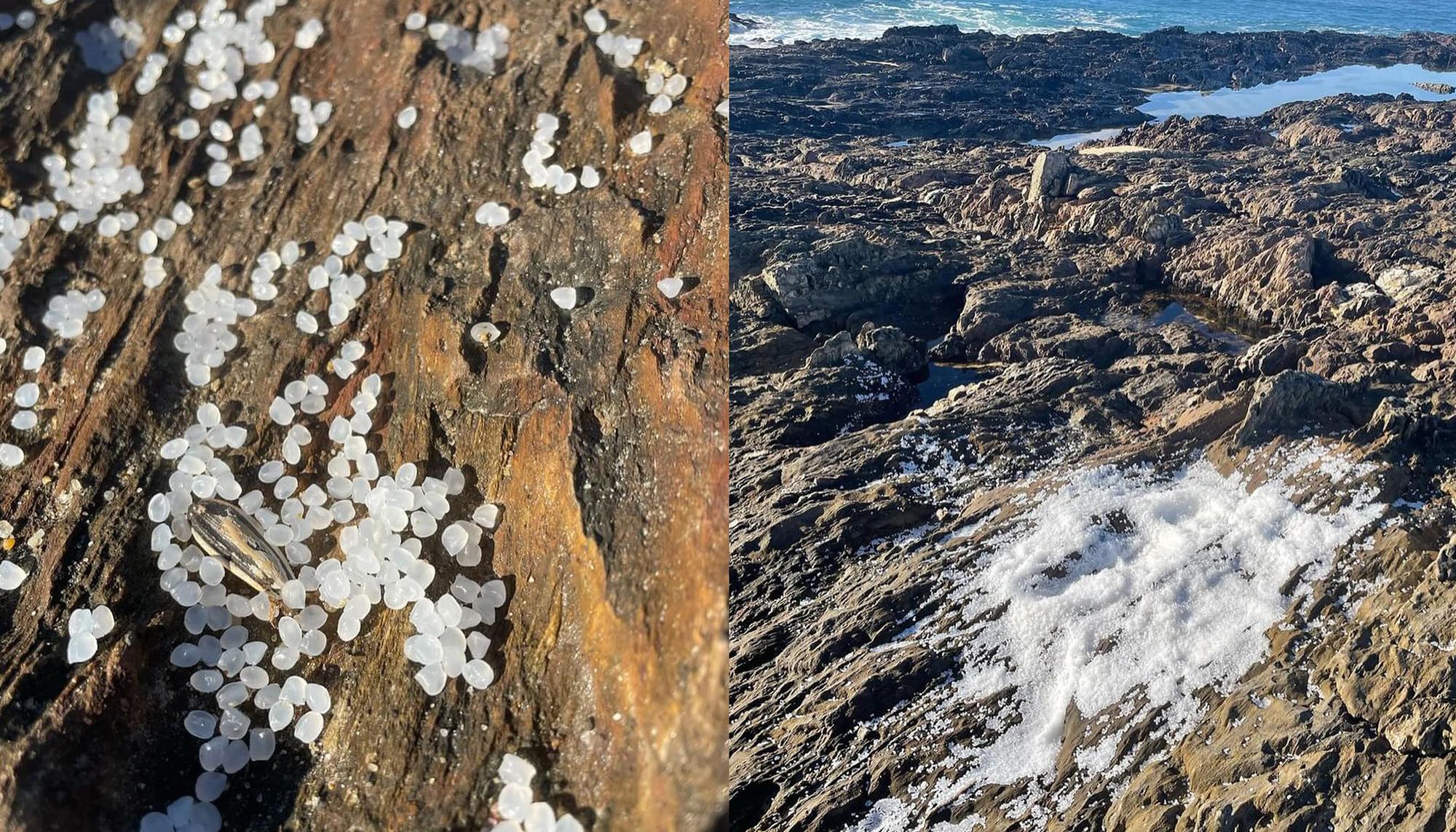 Microplasticos Galicia
